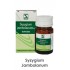 Syzygium Jambolanum 1x